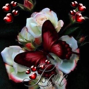 Meet your Posher, Elaine f